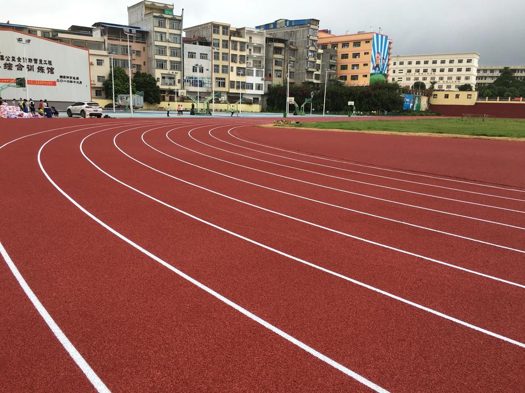 西宁市塑胶跑道塑胶跑道材料 - 排名